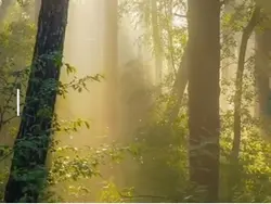 Intro kết thúc