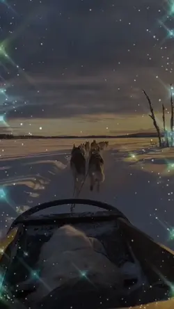 New Year day 