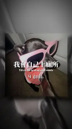 我會自己上廁所remix