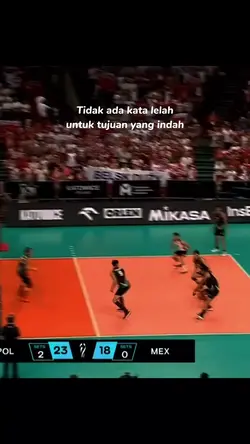 Story voli