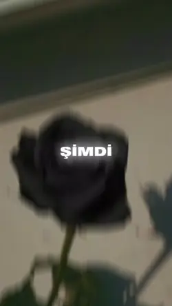elalemmiyiz 