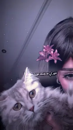 قهر تو و جنک ترا🤍🦋