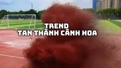 Trend tan cánh hoa