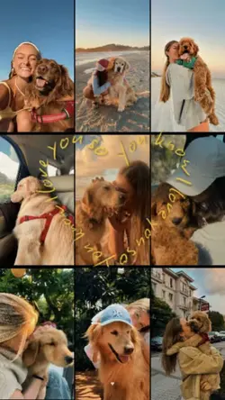 Love pets