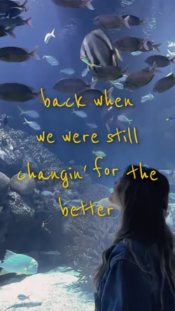 August-Taylor Swift