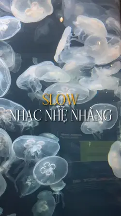 Slow nhẹ nhàng