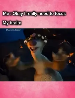 My brain