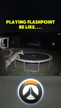 deer trampoline