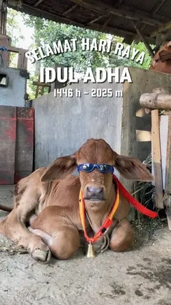 Cinematic Idul Adha✌️