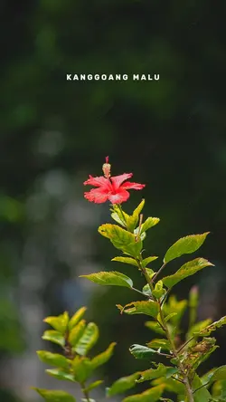 SALAM ASTUNGKARA