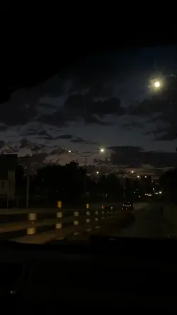 velocity sad video