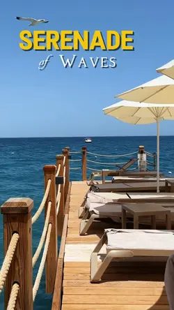 Serenades of Waves