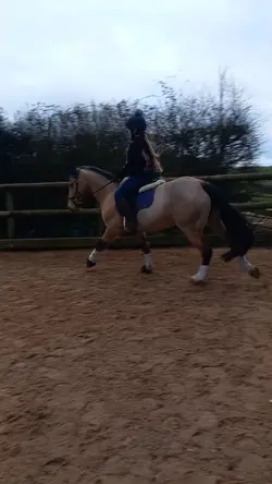 New pony!
