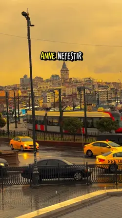 Anne nefestir