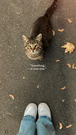 Something