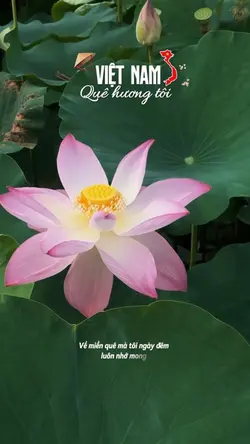 Việt Nam