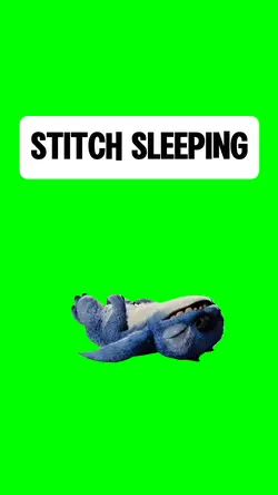 STITCH SLEEPING