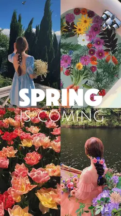 Spring 2025 Coming