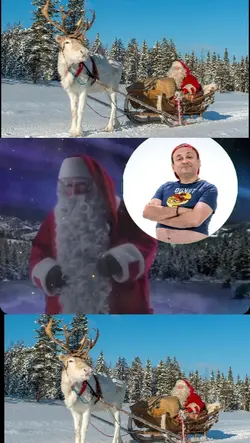 MAL PORTADOS 