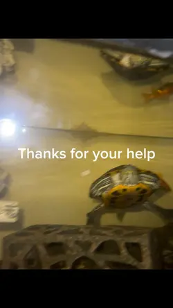 Tank cleaning