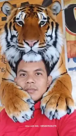 edit foto harimau