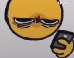 Sas
