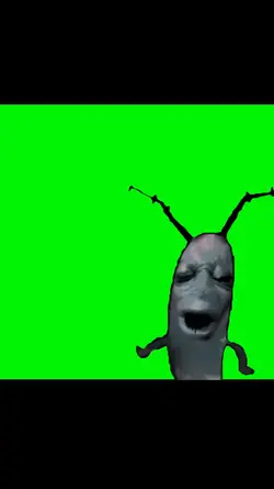 1:1 plankton