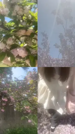 桜の動画や春の写真を当てはめよう🌸