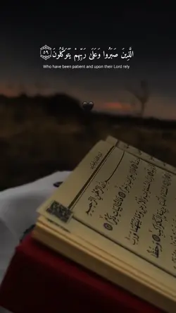 عبدالرحمن مسعد ✨💎