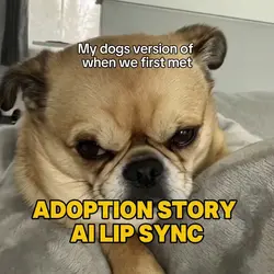 Adoption Story 