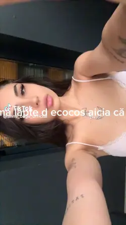 Sebi și teoriile