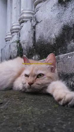masih ada waktunya