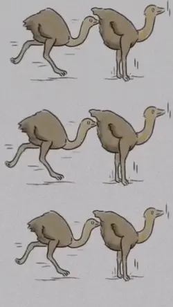 Evolution!😂😂😂