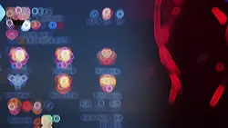 MLBB flex acc