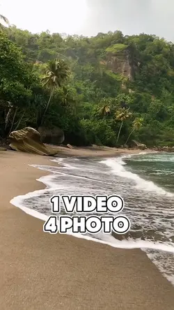 4 photo of 1 video