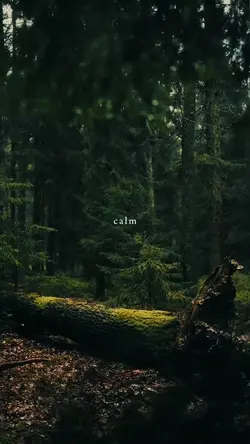 calm