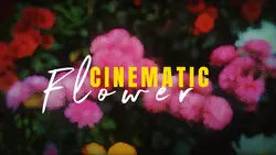 Cinematic video 