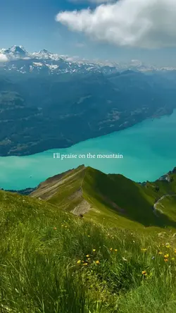 praise
