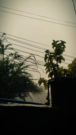 Rainy 