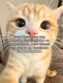 livefoto text 