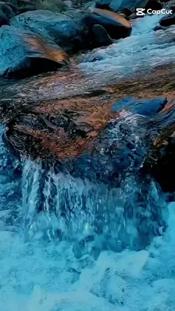 enfoque