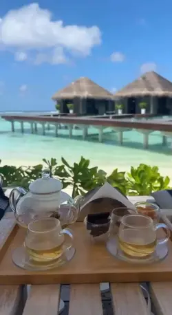 mini vlog