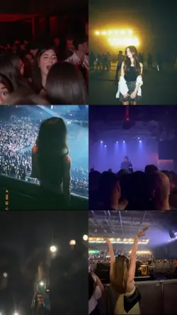 festival dump