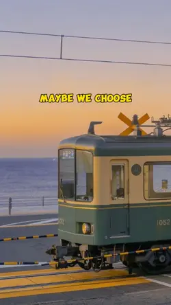maybe we choose 