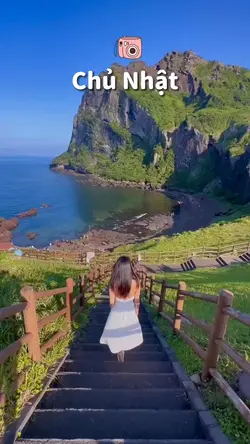 Vlog