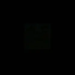 Rodeo 