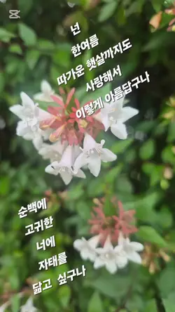 2개 클립 추가