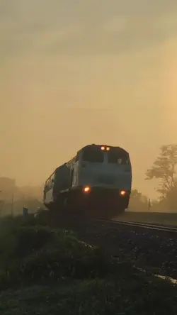 CINEMATIC TRAIN