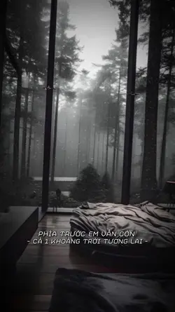 phía trước em còn gì