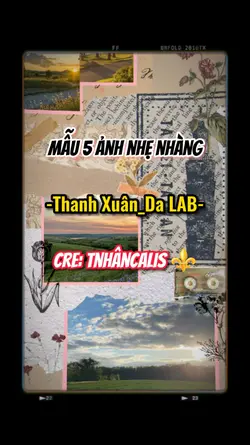 Mẫu 5 ảnh nhẹ nhàng
